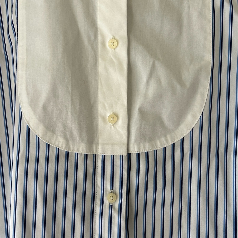 Ralph Lauren Blue and White Striped Button Down Shirt - Picture 6 of 15